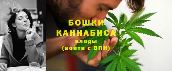 PSILOCYBIN Бронницы