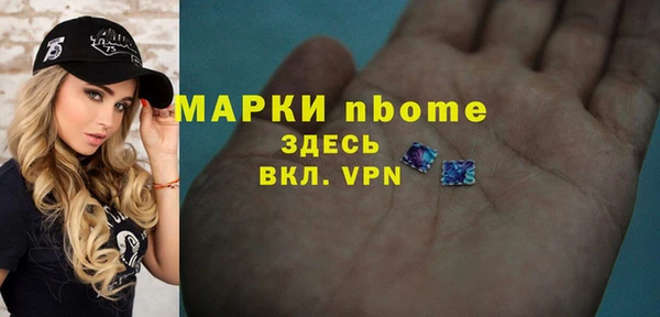 гидра Бородино