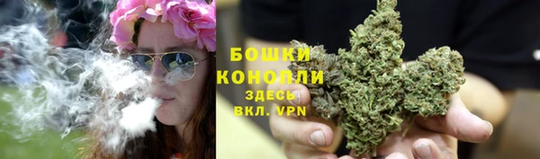 гидра Бородино
