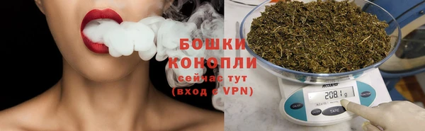 spice Бугульма