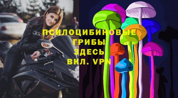 гидра Бородино