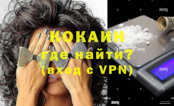 гидра Бородино