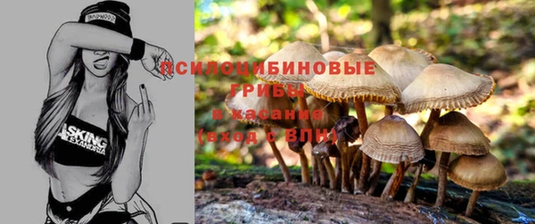 spice Бугульма