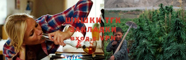 гидра Бородино