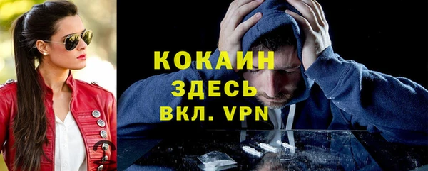 PSILOCYBIN Бронницы