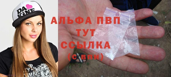 PSILOCYBIN Бронницы