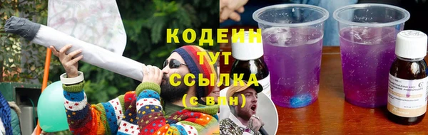 гидра Бородино
